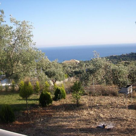 Manolia Studios Trapezaki (Kefalonia) Exterior foto