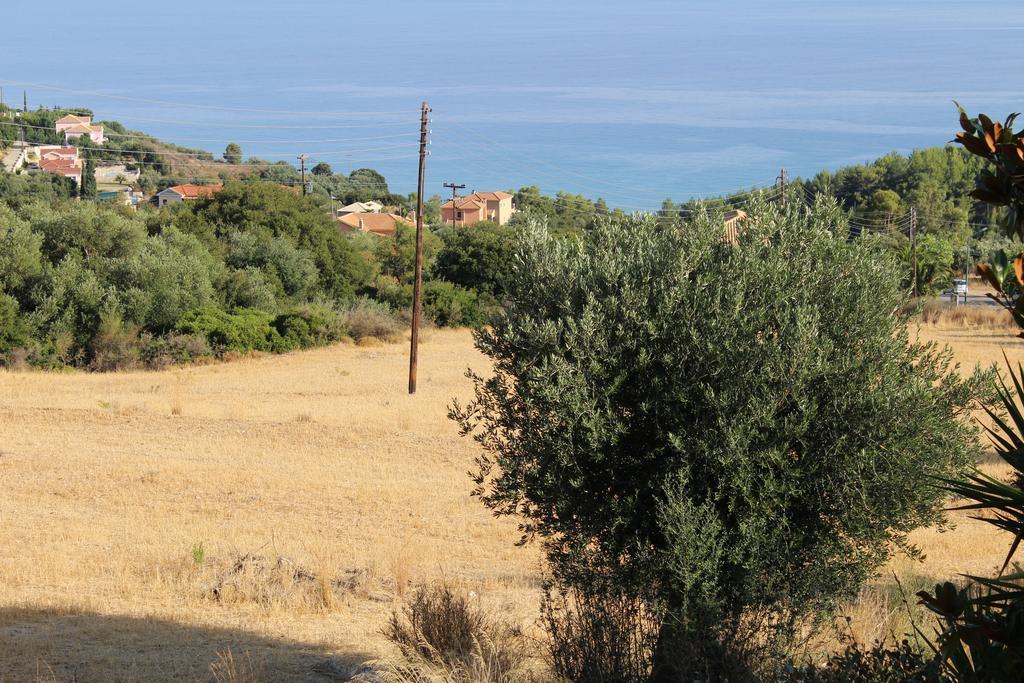Manolia Studios Trapezaki (Kefalonia) Exterior foto