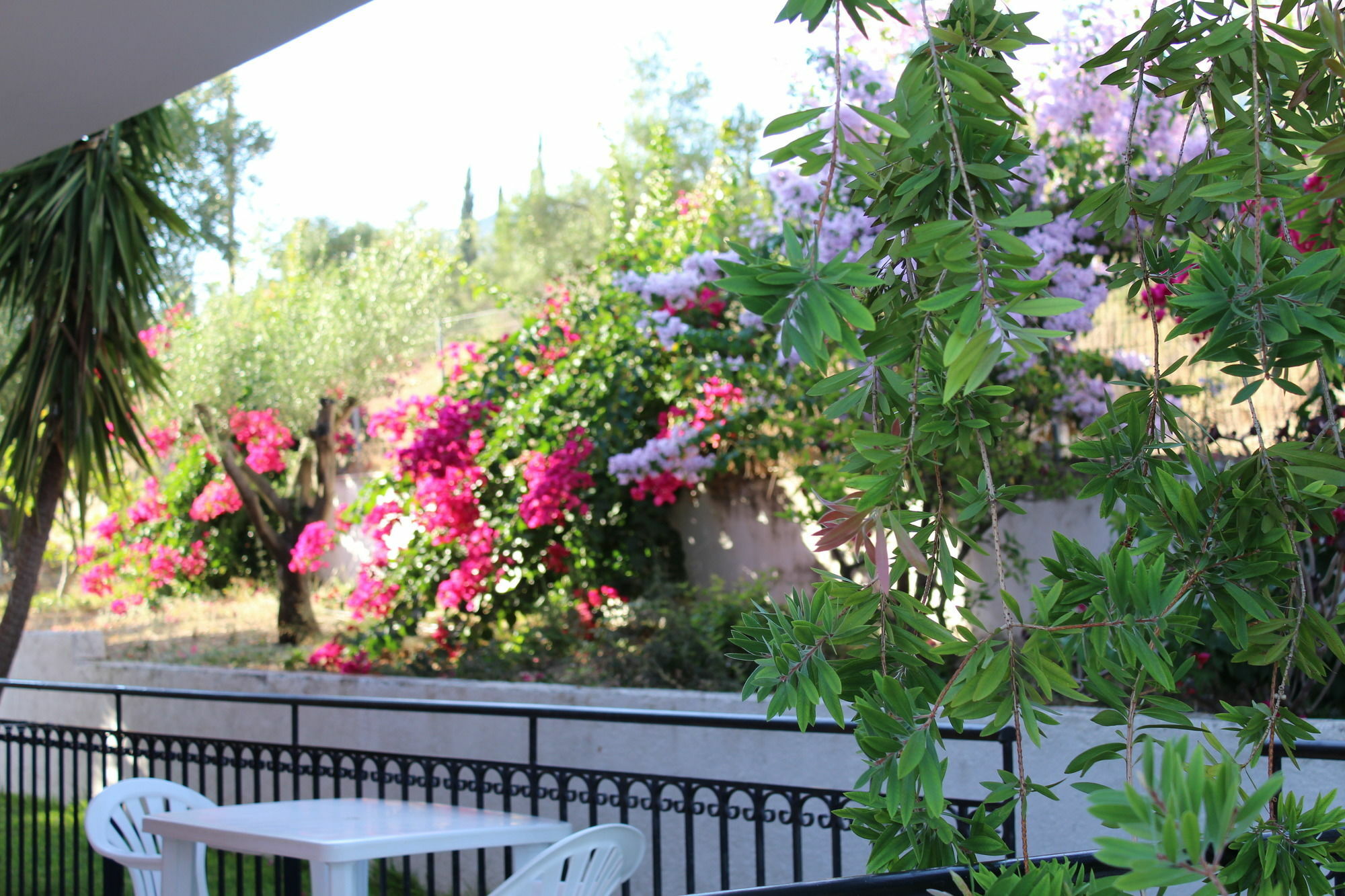 Manolia Studios Trapezaki (Kefalonia) Exterior foto