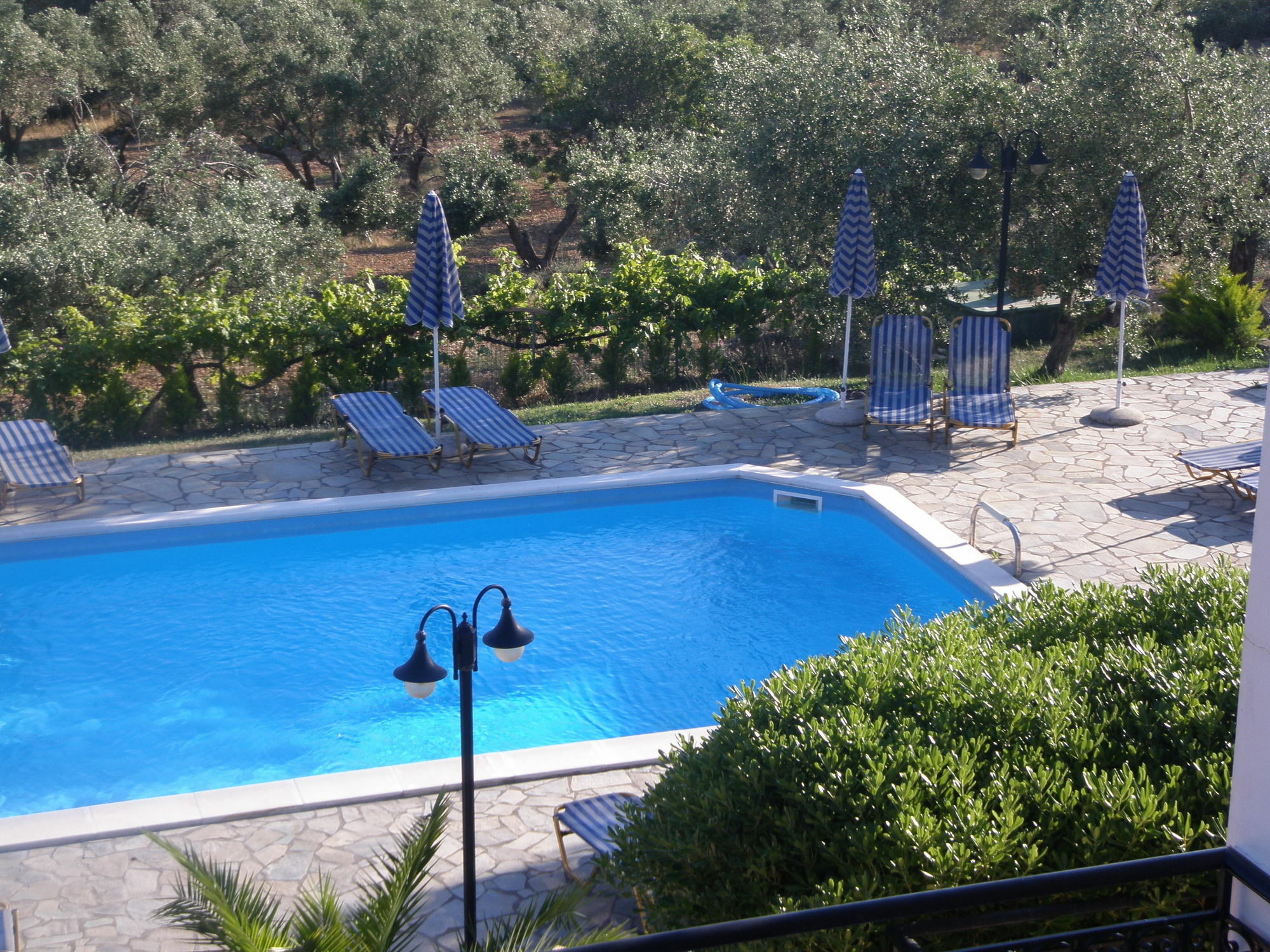 Manolia Studios Trapezaki (Kefalonia) Exterior foto