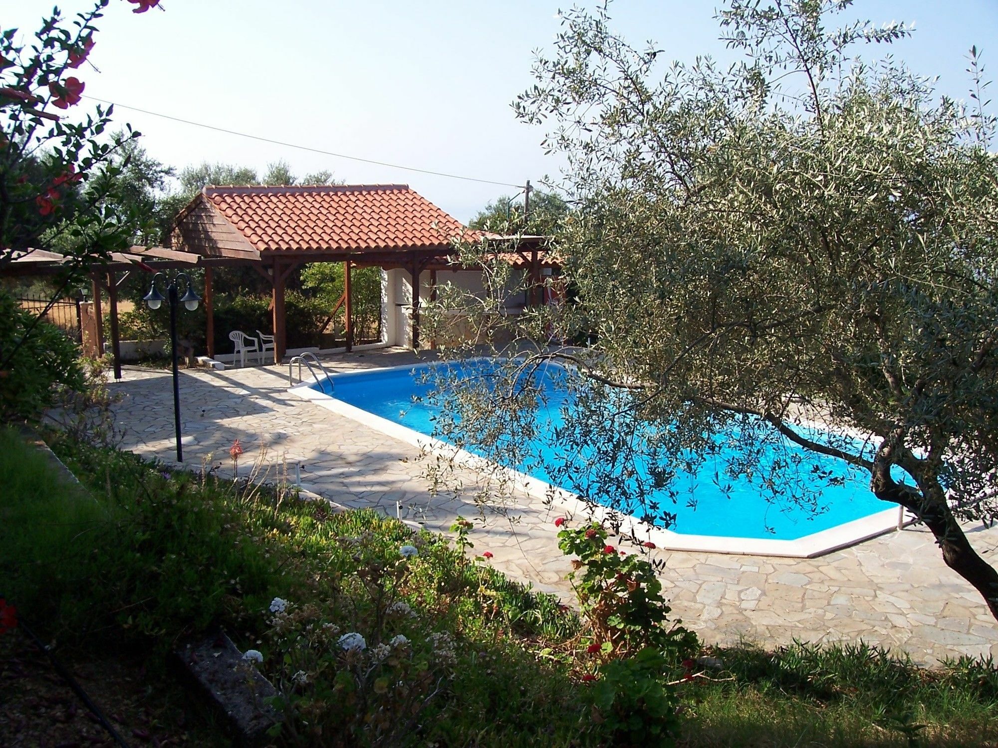 Manolia Studios Trapezaki (Kefalonia) Exterior foto